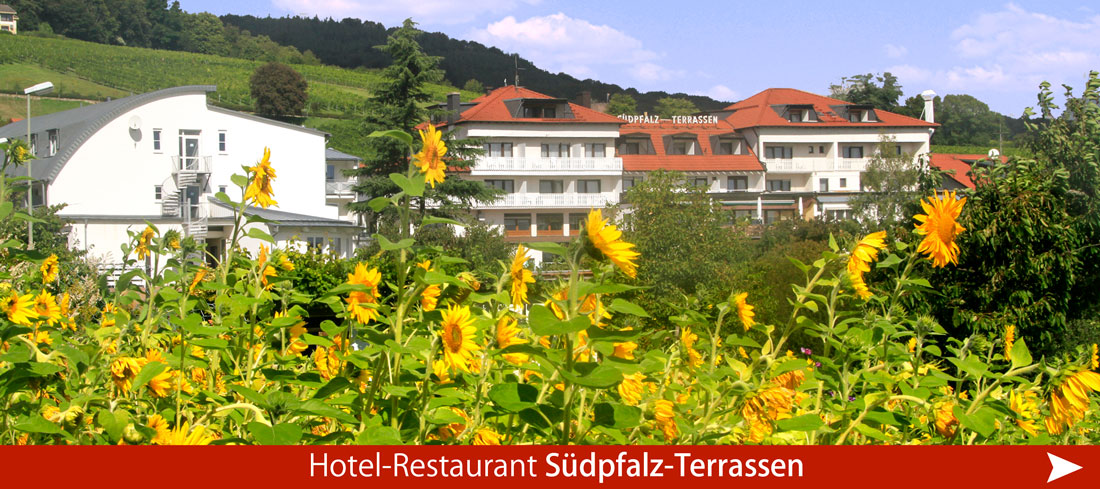 Hotel-Restaurant Südpfalz Terrassen